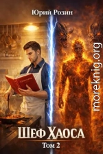 Шеф Хаоса. Книга 2
