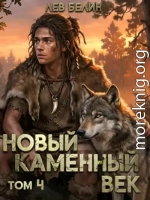 Новый каменный век. Том 4