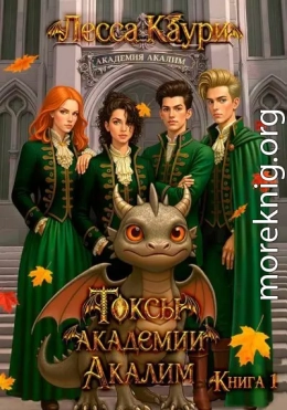 Токсы академии Акалим. Книга 1