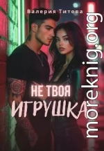 Не твоя игрушка