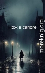 Нож в сапоге. Том 1. Черный кот. Часть 2