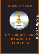 Путеводитель по жизни и смерти