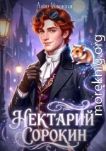Нектарий Сорокин. Стажёр