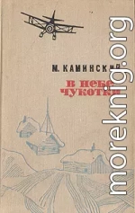 В небе Чукотки. Записки полярного летчика