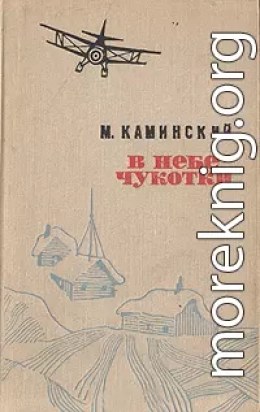 В небе Чукотки. Записки полярного летчика