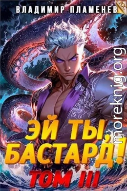 Эй ты, бастард! Том III