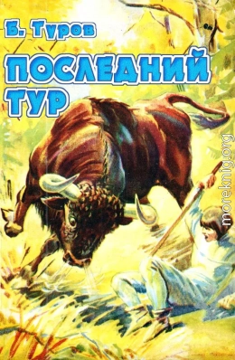 Последний тур