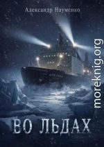 Во льдах