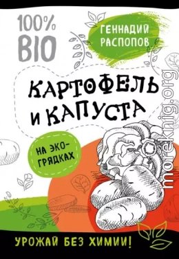 Картофель и капуста на эко грядках. Урожай без химии