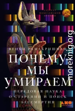 Почему мы умираем: Передовая наука о старении и поиск бессмертия