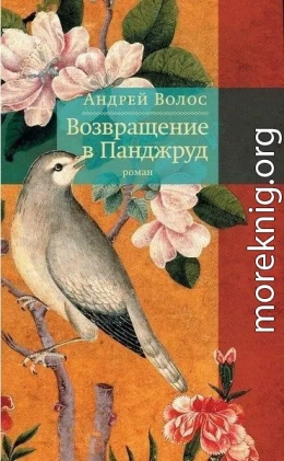 Возвращение в Панджруд
