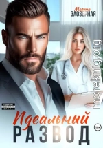 Идеальный развод