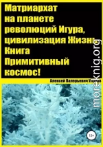 Матриархат на планете революций Игура, цивилизация Жизнь. Книга Примитивный космос!