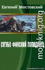 Сугубо финский попаданец III