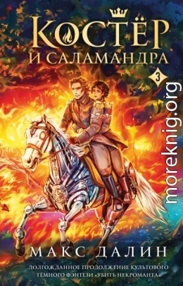 Костер и Саламандра. Книга 3