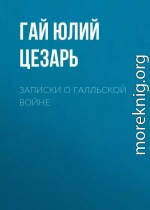 Записки о Галльской войне