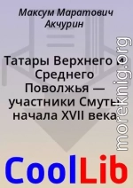 Татары Верхнего и Среднего Поволжья — участники Смуты начала XVII века