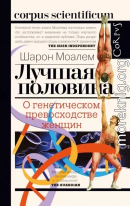 Лучшая половина. О генетическом превосходстве женщин