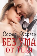 Без ума от тебя