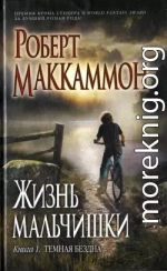 Жизнь мальчишки. Книга 1. Темная бездна