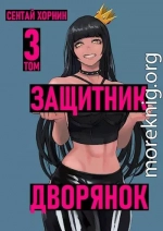 Защитник Дворянок Том III