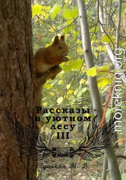 Рассказы в уютном лесу III