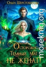 Осторожно, темный маг не женат!