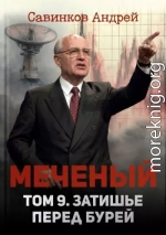 Меченый. Затишье перед бурей