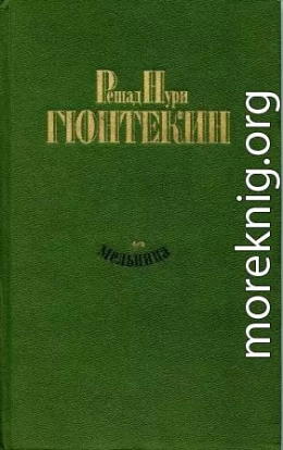 Мельница