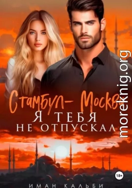 Стамбул — Москва. Я тебя не отпускал