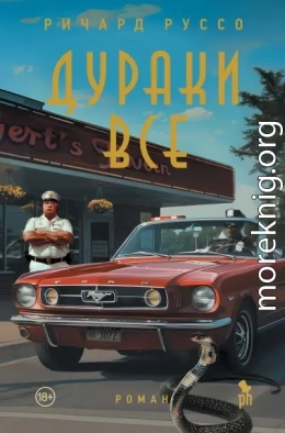 Дураки все
