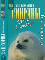 Звери в природе