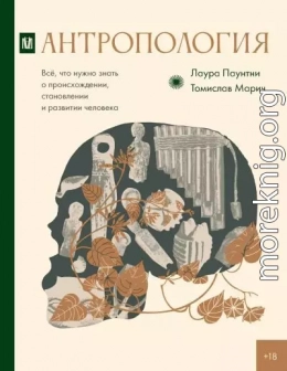 Антропология. Всё, что нужно знать о происхождении, становлении и развитии человека