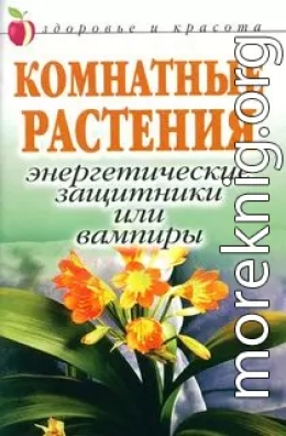 Комнатные растения: энергетические защитники или вампиры