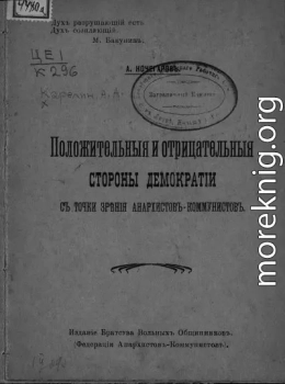 Положительные и отрицательные стороны демократии с точки зрения анархистов-коммунистов