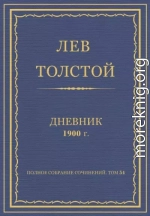 Дневник, 1900 г.