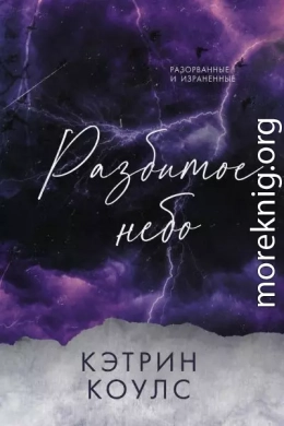 Разбитое небо