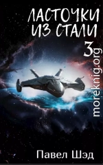 Ласточки из стали 3