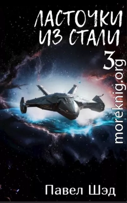 Ласточки из стали 3
