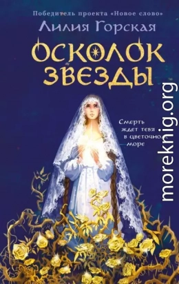 Осколок звезды