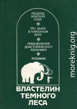 Властелин Темного Леса<br />(Историко-приключенческие повести)