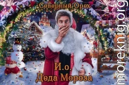 И.о. Деда Мороза (СИ)