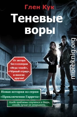 Теневые воры