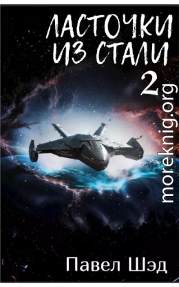 Ласточки из стали 2