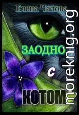 Заодно с котом [СИ]