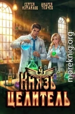 Князь Целитель 4