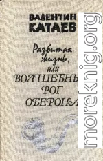 Разбитая жизнь, или Волшебный рог Оберона