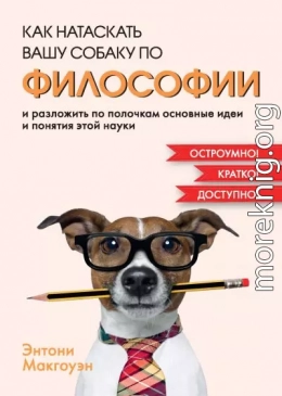 Как натаскать вашу собаку по философии и разложить по полочкам основные идеи и понятия этой науки