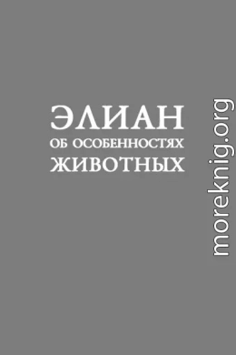 Об особенностях животных