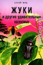 Жуки и другие удивительные насекомые